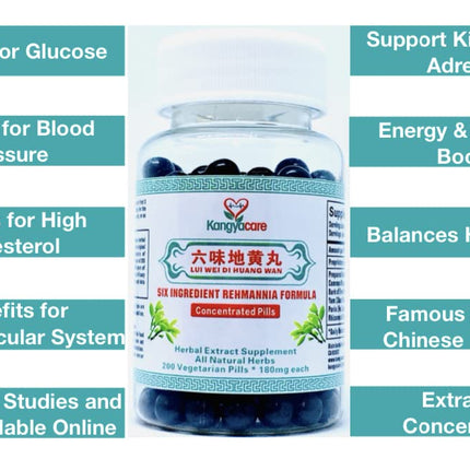 Kangyacare Liu Wei Di Huang Wan 六味地黄丸 – Six Ingredient Rehmannia Formula | Energy & Immune Support | All Natural | 400 Ct (2 Bottles)
