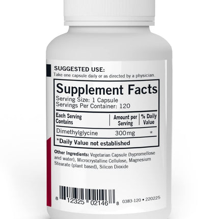 Kirkman - DMG (Dimethylglycine) 300 mg - 120 Capsules - High Potency - Supports Methylation - Hypoallergenic