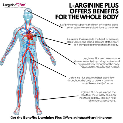 L-arginine Plus - 5110mg L-Arginine & 1010mg L, 13.4 oz | Nitric Oxide Booster