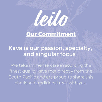 LEILO Kava Powered Sparkling Relaxation Drink – Blackberry Orange 12-Pack | Non-ALC Calming Beverage | 12 fl oz Cans