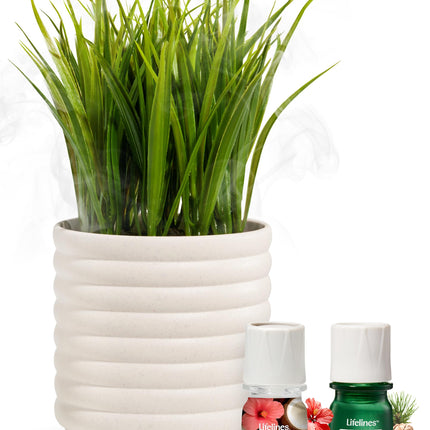 Lifelines Plant Diffuser Bundle — 2 ClickWick Essential Oil Blends | Rechargeable Faux Plant Diffuser & Modern Planter
