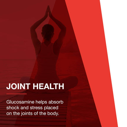 Protocol Glucosamine & Chondroitin with MSM - Joint Support (180 Veg Caps) - Non-GMO & Dairy Free