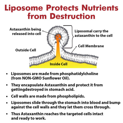 Liposomal Astaxanthin 24MG — Maximum Absorption, Non-GMO & Gluten Free, 120 Softgels