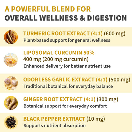 Liposomal Turmeric - High-Absorption Curcumin with Black Pepper | Non-GMO (120ct, Pack of 3)