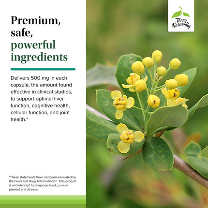 Terry Naturally Berberine - Liver Health & Metabolism Support | 60 Capsules (Pack of 2)