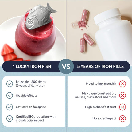Lucky Iron Fish – The Original Daily Iron Fortification Tool (5-year supply included)