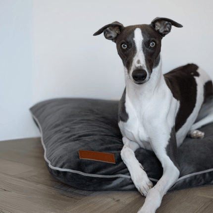 LUXURY ORTHOPAEDIC MEMORY FOAM DOG CRATE MATTRESS | GREY