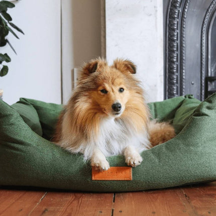 THE RICHMOND | LUXURY GREEN BOLSTER DOG BED