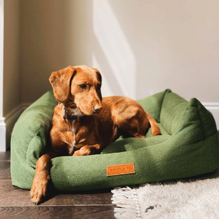 THE RICHMOND | LUXURY GREEN BOLSTER DOG BED