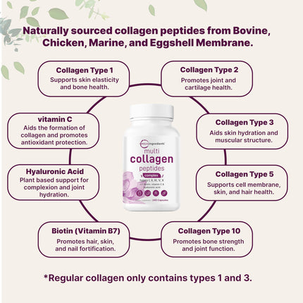 Micro Ingredients 2 Pack Multi Collagen Pills – Types I–X, Biotin & Hyaluronic Acid