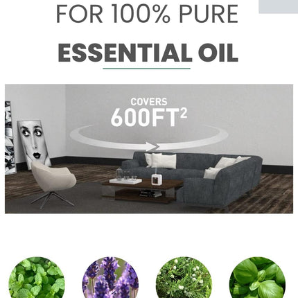 Minidiva Aromatherapy Diffuser — Nebulizing, No Water, Ultra-Quiet & Portable