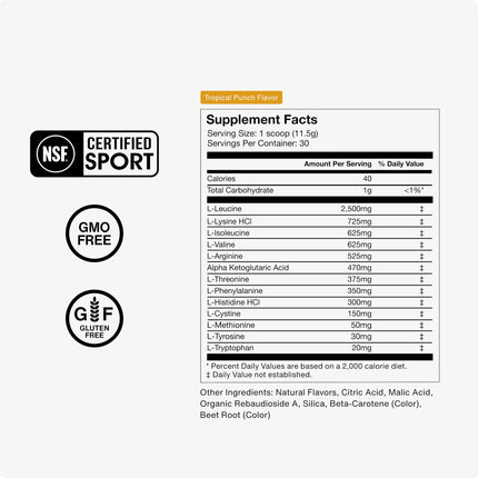 Momentous Vital Aminos Powder – 13 Amino Acids (EAAs + extras) | BCAA & EAA | Tropical Punch | NSF Certified for Sport | GMO & Gluten-Free | 30 Servings