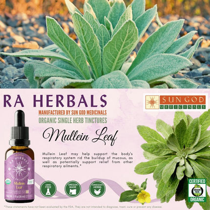 Organic Mullein Leaf Tincture - RESPIRATORY, VIRAL & INFECTIONS