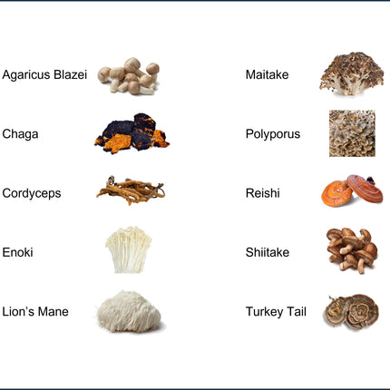 10-Blend Organic Mushroom Extract Powder - Lion's Mane, Cordyceps, Reishi
