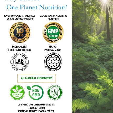 One Planet Nutrition Nano Curcumin Plus – 500 mg Veggie Capsules (240 Servings) | Joint & Immune Support