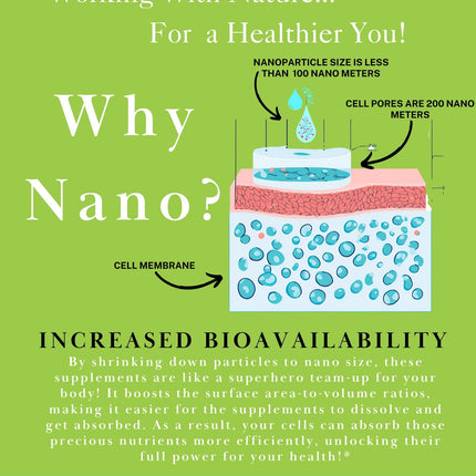 One Planet Nutrition Nano Curcumin Plus – 500 mg Veggie Capsules (240 Servings) | Joint & Immune Support