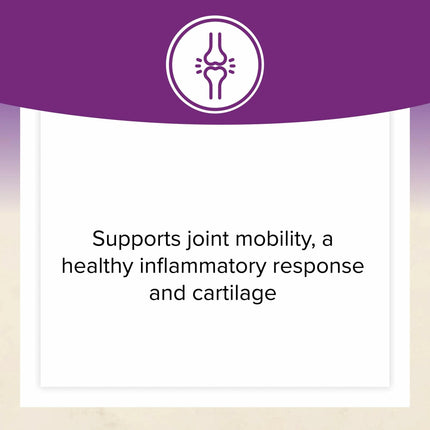 Natural Factors OsteoMove Joint Care - Extra Strength Joint Support, Non-GMO, 240 Tablets