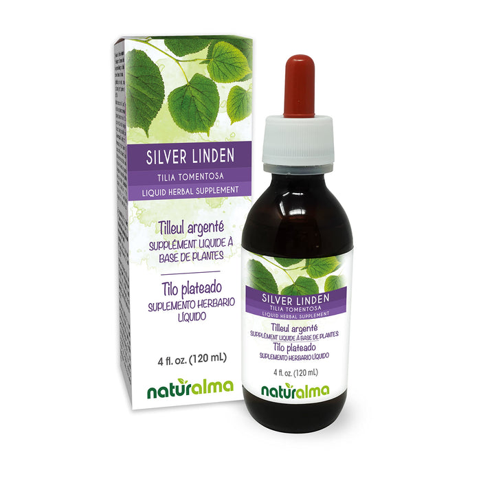 Silver Linden Tincture (Tilia tomentosa) - Alcohol-Free Drops (4 oz)
