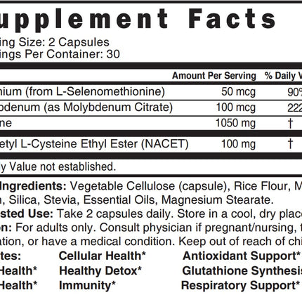 Nature's Fusions Neuro NAC with NACET – Pack of 2, 120 Capsules | 20x More Bioavailable NACET