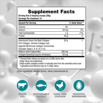 NaturesPlus Collagen Peptides Vanilla – 2 Pack (364 g) | Hair, Skin, Nails & Joints | Non-GMO, Gluten Free