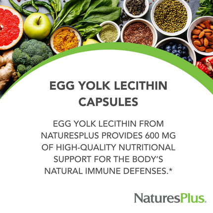 NaturesPlus Egg Yolk Lecithin 600 mg – 180 Capsules Pack of 2 – Soy Free & Gluten Free