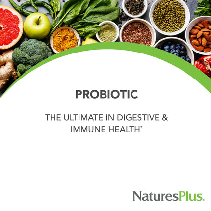 NaturesPlus GI Natural Probiotic Mega – 60 Servings, Gluten Free | Digestive & Immune Health