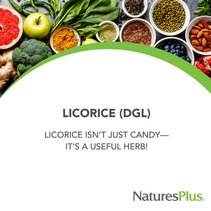 NaturesPlus Herbal Actives Licorice (DGL) 500 mg - 60 Capsules (Pack of 3) | Digestive Support & Well-Being