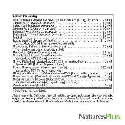 NaturesPlus Regeneration - 90 Softgels (Pack of 2) | Gluten Free Multivitamin & Mineral