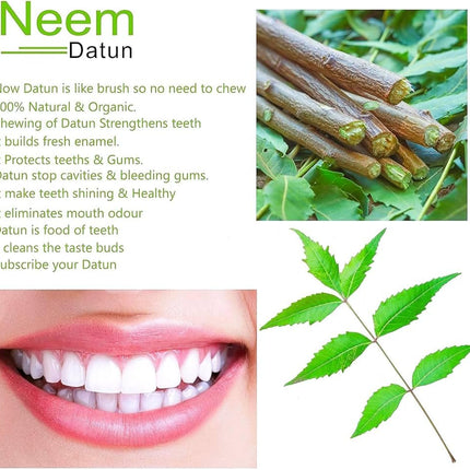 Ayurvedic Neem Datun - Organic Toothbrush Twig (5-7 in) Pack of 10