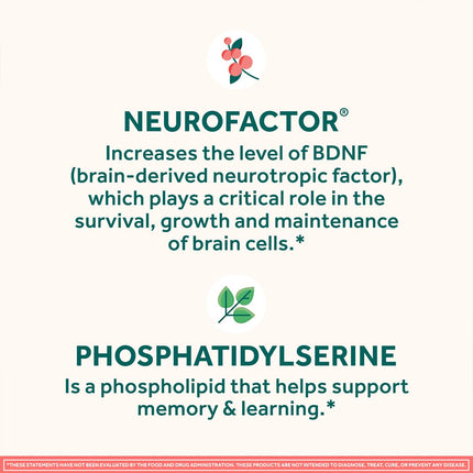 NEURIVA Original Gummies — Focus, Memory & Learning Support (Strawberry)