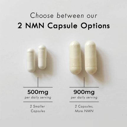 Neurogan NMN Supplement Capsules – 500 mg NMN, 120 Ct | Brain Focus & Cellular Energy
