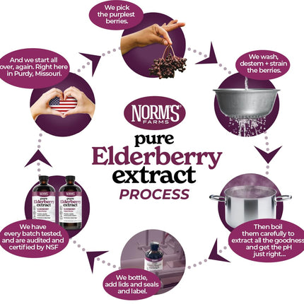Norm's Farms Elderberry Extract & BeeWellness Syrup 2PK – Immune Support for Kids & Adults, Made in USA
