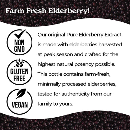 Norm's Farms Elderberry Extract & BeeWellness Syrup 2PK – Immune Support for Kids & Adults, Made in USA
