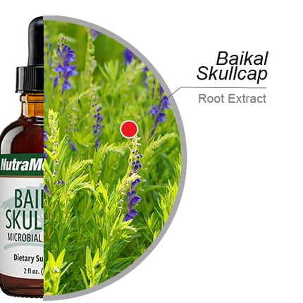 NutraMedix Baikal Skullcap Tincture - Immune Support & Heart Health (2 oz)