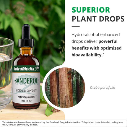 NutraMedix Banderol Daily Immune Support Tincture — Vegan Otoba Bark Drops (1 oz)