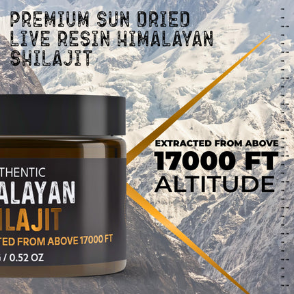 NutroTonic Authentic Himalayan Shilajit Resin | 60 Days Sun-Dried, Lab-Tested