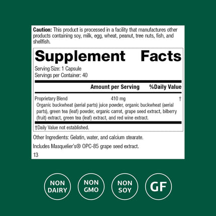 Standard Process OPC Synergy – Antioxidant & Brain Health – 150 Tablets