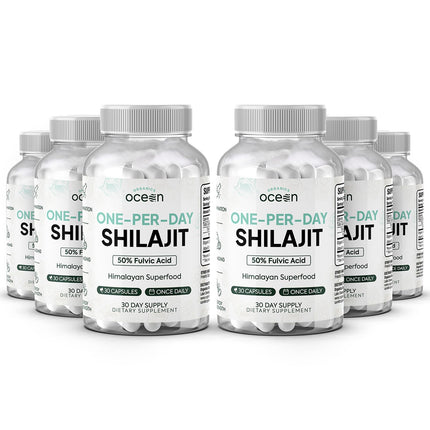 Organics Ocean One-Per-Day Shilajit Capsules – Himalayan Shilajit for Hormone Support – 6 Bottles