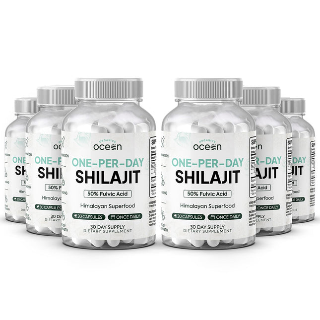 Organics Ocean One-Per-Day Shilajit Capsules – Premium Himalayan Shilajit (6 Bottles)