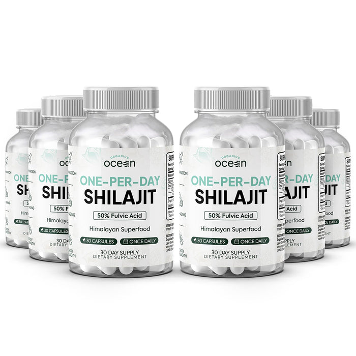 Organics Ocean One-Per-Day Shilajit Capsules – Premium Himalayan Shilajit (6 Bottles)