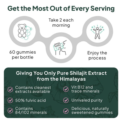 Organics Ocean Shilajit Gummies – Energy, Hormone Support & Skin Health (60 Gummies)