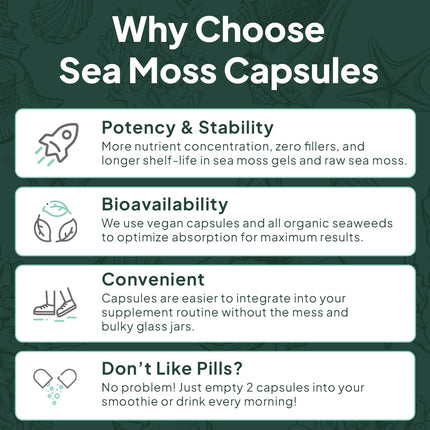 Organics Ocean Wild Sea Moss Capsules – Organic Irish Sea Moss, Chlorella, Bladderwrack & Vitamin D3 (3 Bottles)