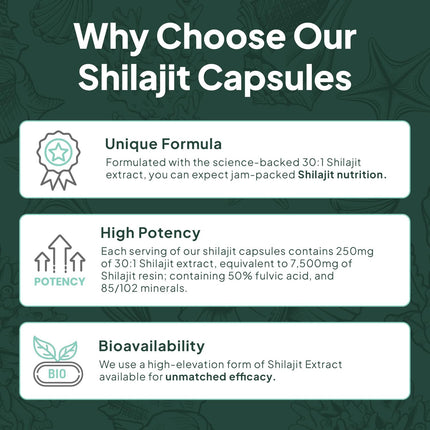Organics Ocean One-Per-Day Shilajit Capsules – Age-Defying, Bone Strength & Hormone Support