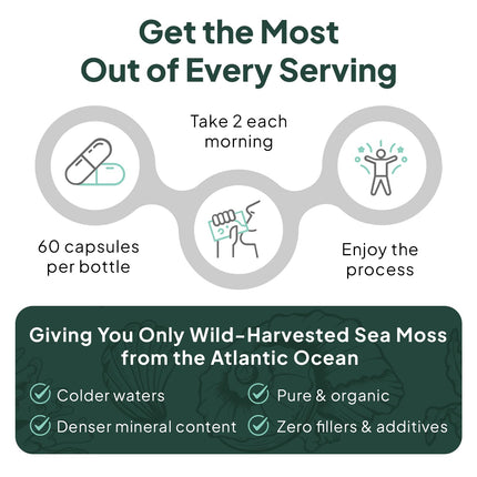 Organics Ocean Wild Sea Moss Capsules – Organic Irish Sea Moss, Chlorella, Bladderwrack & Vitamin D3 (3 Bottles)