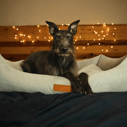 THE HIGHCLERE | LUXURY MEMORY FOAM BOLSTER DOG BED
