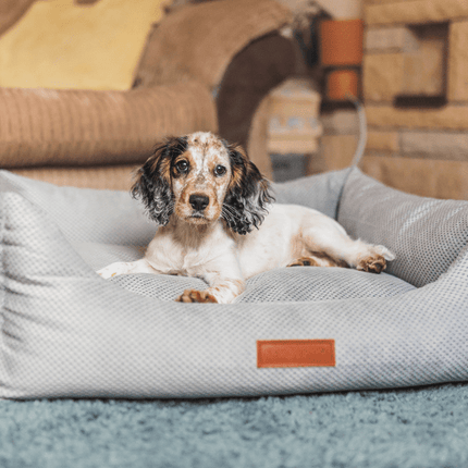 THE HIGHCLERE | LUXURY MEMORY FOAM BOLSTER DOG BED