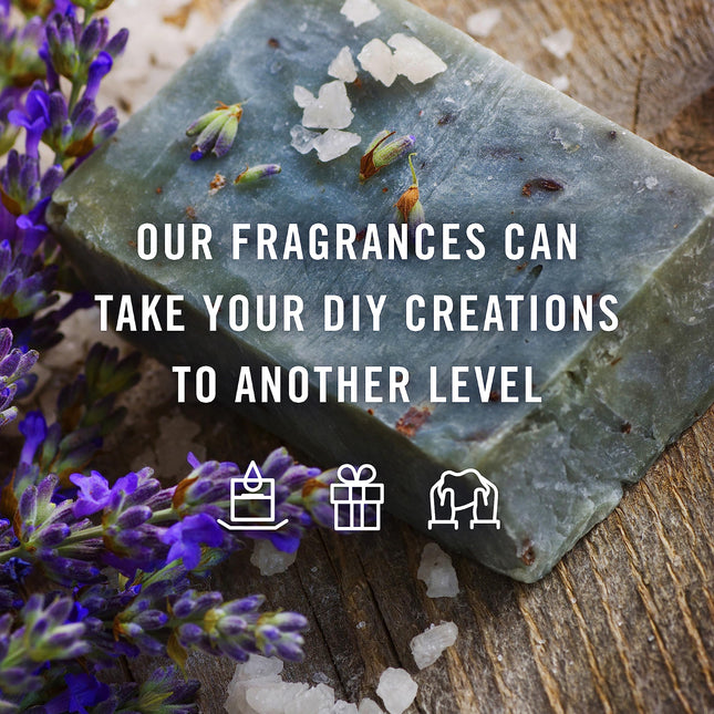 P&J Trading Fragrance Oil Winter Set – 14 Premium Oils Gift Box