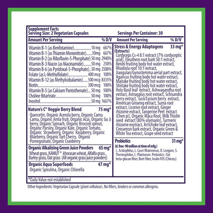 Paradise Herbs Earth's Blend B-Complex — Methylated B Vitamins + Superfoods, 60 Capsules