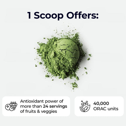 Paradise Herbs ORAC Energy Greens Powder — Antioxidant Power of 24 Fruits & Veggies in 1 Scoop | 120 Servings