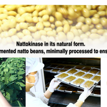 PHARMAKON Nattokinase — Bioavailable Soft Capsules, Organic Fermented Soybean Extract, 6000 FUs